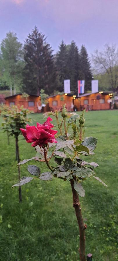 Cuki Residence Mala Ravna Reka Экстерьер фото